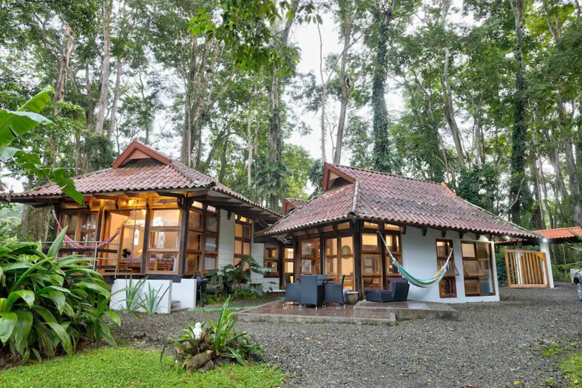 Mẫu homestay sân vườn dạng bungalow trong vườn nhiệt đới