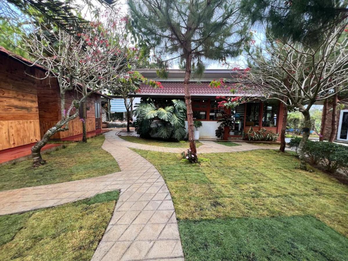 Mẫu homestay sân vườn kết hợp quán cà phê