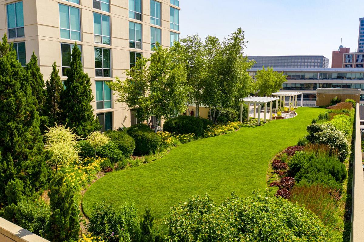 Không gian xanh giúp sân thượng thoáng đãng và giàu sức sống hơn.