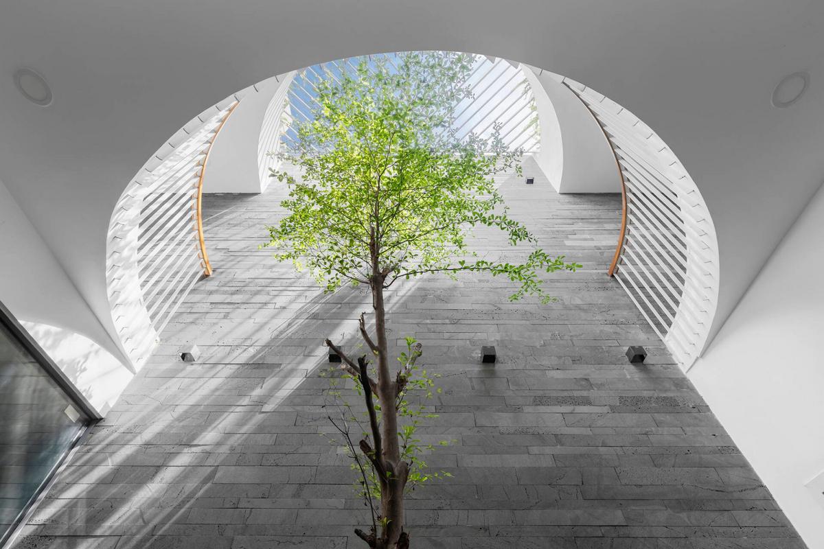 Trang trí giếng trời cây xanh tạo thư giãn phong cách thiết kế tối giản.