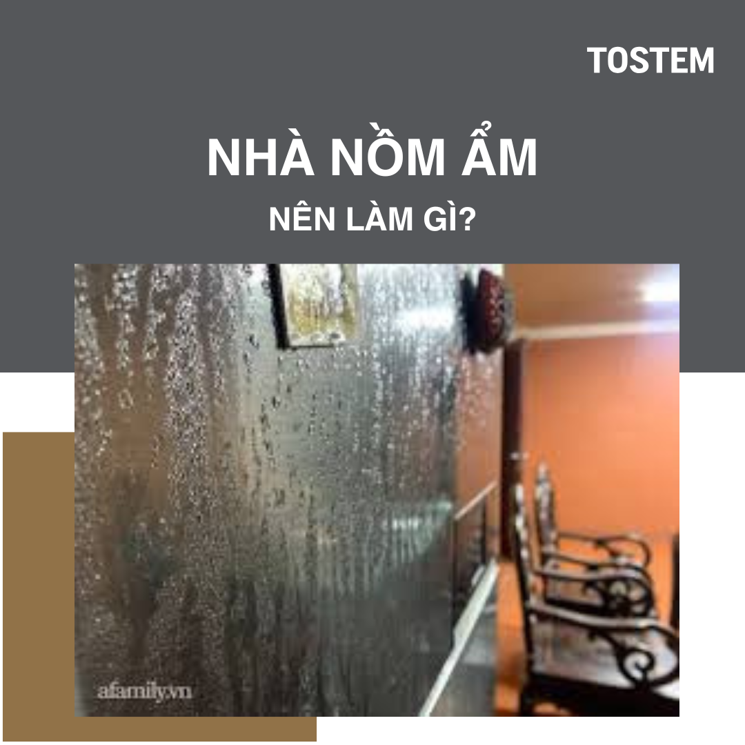 Nhà nồm ẩm nên làm gì? 6 giải pháp “cấp cứu” tức thì hiệu quả