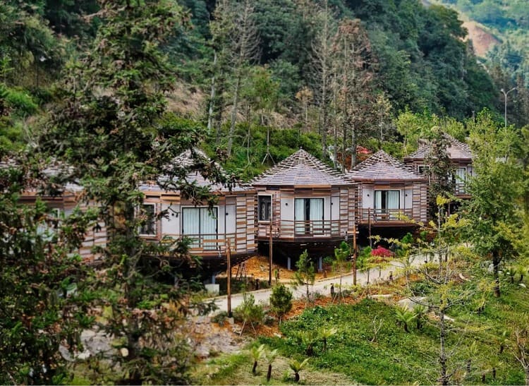 Bungalow được kết hợp với các chất liệu tự nhiên và cửa kính lớn để đảm bảo sự thông thoáng